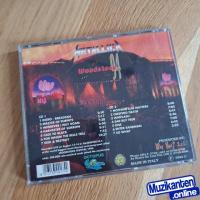 Metallica Live in Woodstock